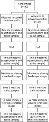 Viewing Landscapes Is More Stimulating Than Scrambled Images After a Stressor: A Cross-disciplinary Approach